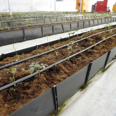 China Soilless Growing System PP Growing Trough Colletcing Trough Black Growing Tomatoes Rose Cucumbers for sale