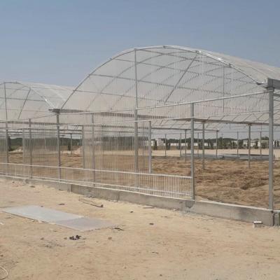 China 10 X 6 10 X 20 10 X 12  10' X 10 Clear Polycarbonate Greenhouse Wave Sheet Yellow Film Growing Lettuce Leaf Vegetable for sale