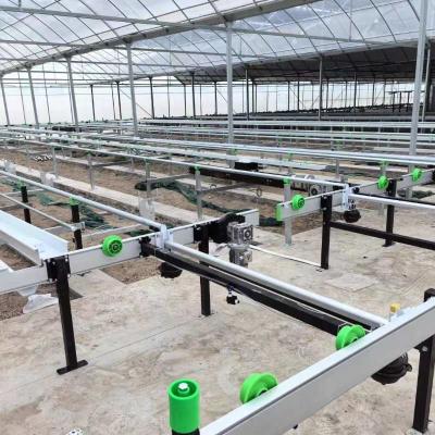 China Growing System Rolling Greenhouse Tables Adjustable Shuttle Bench System Agriculture Movable Bench for sale