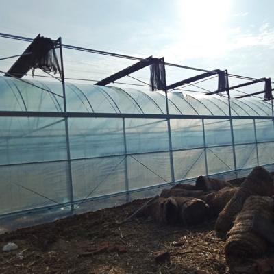 China Multi-Span Greenhouse Kits Plastic Film Hydroponics Greenhouse For Sale for sale