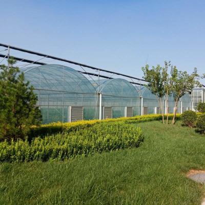 China Factory wholesale stock exterior shading steel frame commercial multi span film greenhouse for sale