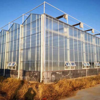 Chine Agriculture Super résistant végétaux Fruits fleurs feuilles de polycarbonate Serres à vendre