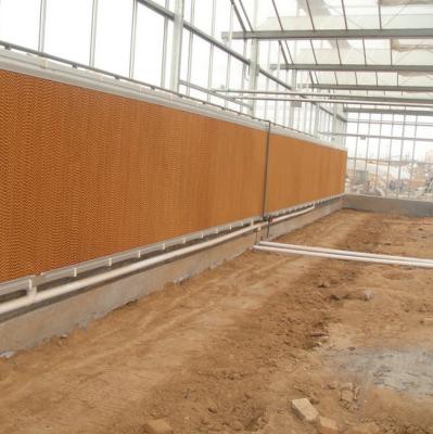 China Moderne VENLO Hot Dip galvanisierte Stahlrohr Polycarbonat Gewächshaus Struktur Multi-Span Commercial PC-Blatt Gewächshaus Kühlsystem zu verkaufen