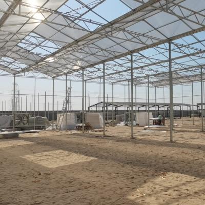 China Low Cost Polycarbonate Sheet Greenhouse For Bananas Cucumber Tomatoes Lettuce for sale