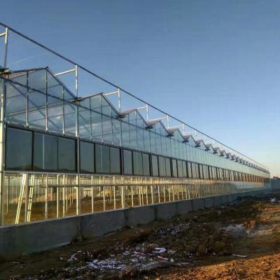 China Large Prefabricated Outdoor And Indoor Backyard  Glass Greenhouse For Flower Growing for sale