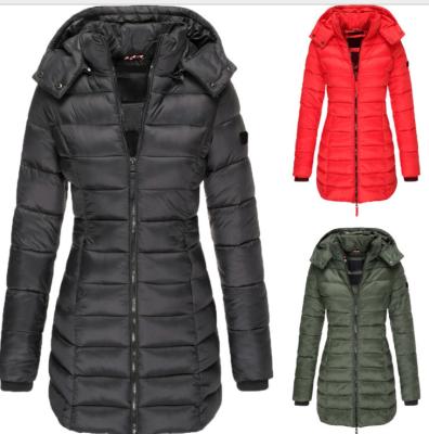 China Women's short style heavy fur collar padded jacket thin cotton-padded jacket coat plus size thin cotton-padded winter coat QUICK DRY new for sale