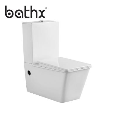 China 2019 Double-Flow New Arrival Sanitary Ware Two Piece Bathroom Wall Hung Toilet And Accessories For Water Tank for sale