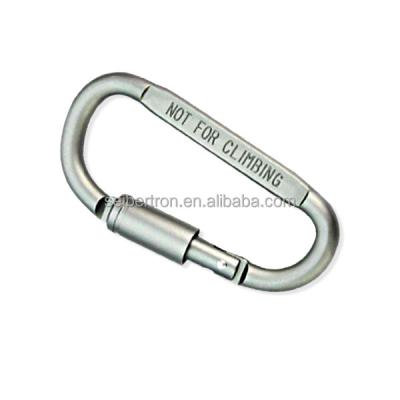 Chine Equipment Accessories/Fall Protection Harness/Accessories Safety High Quality Aluminum D Shaped Flatten Metal Hook Clip Carabiner Keychain Set à vendre