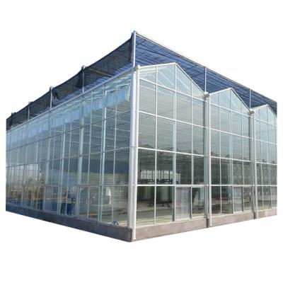 China Multi-span Blackout Cover Agriculture Hydroponics Vertical Farm Tunnel Glass Greenhouse for sale