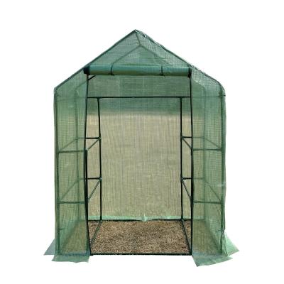 China Easily Assembled Walk In Green House Portable PE Cover Steel Frame Garden Greenhouses For Flower for sale