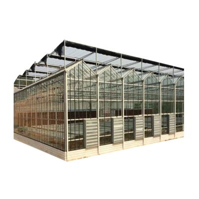 China Multi-span Steel Agricultural Hydroponic Greenhouses Manufacturer Glass Cover Stable Structure Galvanized Green House for sale