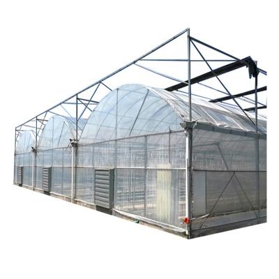 China Greenhouse Aquaponics Multi-span Greenhouses Temperature Control Galvanized PO Steel Frame Plastic Sheet for sale