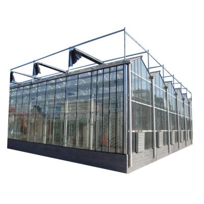 China Glass Easily Assembled Hydroponics Vegetables System Agricultural Equipment Multi-span Glass Greenhouse for sale