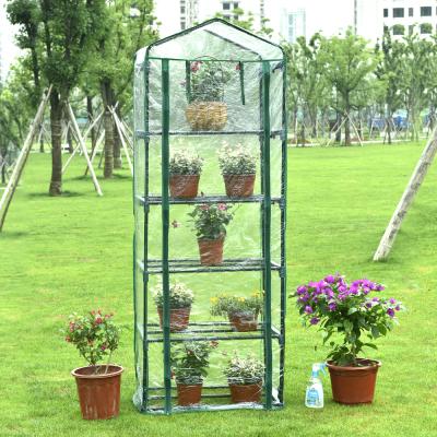 China Easily Assembled Indoor 4 Tier Plastic Cover Mini Greenhouse Grow Tent With Shelves for sale