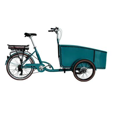 China New Special Steel Pedal Assist Electric Cargo Bike Tricycles Three Wheel Electric Bicycle With Rain Cover for sale