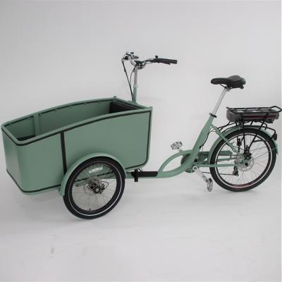 China New Product Steel Power Portable Electric Bike For Adults Pedal Assisted Cargo Tricycle for sale