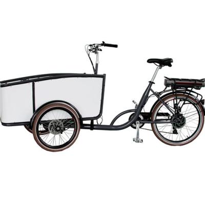 China Steel Brushless Motor Foldable Electric Tricycle Cargo And Passenger Bike For Family Use for sale