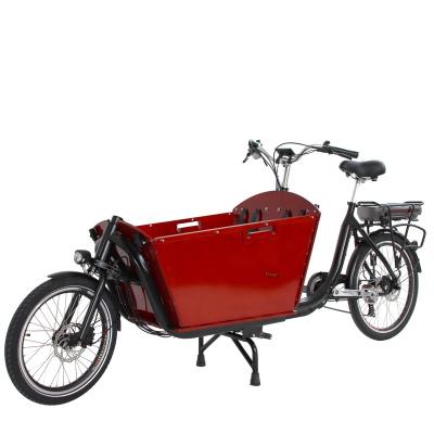 China Best Of 2 Seat Electric Bike Steel Electric Cargo Bicycle Ebike Two Wheels Factory Direct Selling for sale