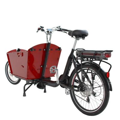 China New Design Family Use Two Steel Wheels Electric Cargo Bike For Sale for sale