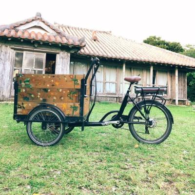 China Dutch electric bike 3 wheels cargo passenger bakfiets aluminum frame for sale for sale