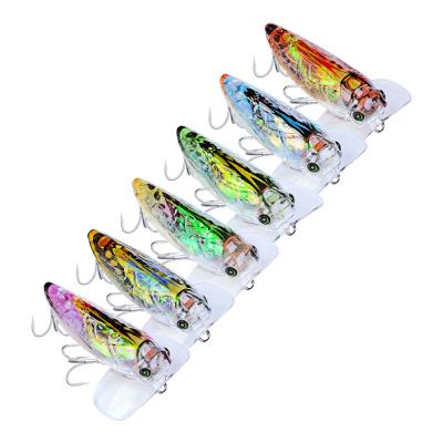 China New OEM China DW1162 High Quality 5.5CM 8.5G Fishing Insect Lure Cicada Bait With 8#hook for sale