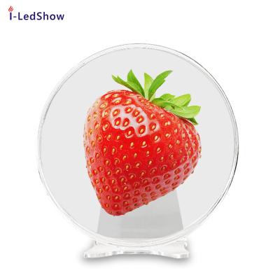 China Indoor iledshow new design high resolution with WIFI App control led fan 3d hologram display for sale