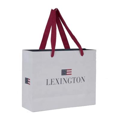 China Promotional Luxury Printed Handled Shopping Paper Bag for sale