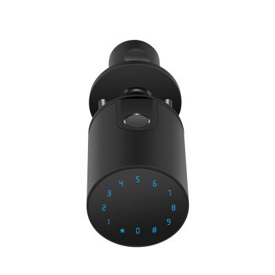 China Aluminum Alloy Round Axis Black Alloy BLE Graffiti APP 35mm-65mm Function Aluminum Mute Password Ekeys Shared Device Smart Lock for sale