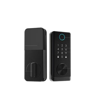 China High Security Home Anti-theft Biometric Fingerprint Smart Password Keyless Automatic Lock Apartment/Door Lock for sale