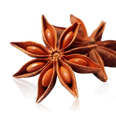 China 2020 production safe Illicium flavored natural dry star anise dried Illicium verum fruits for sale