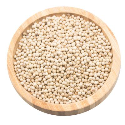 China Hot Selling Natural Dry White Pepper Dry with Competitive Price for sale