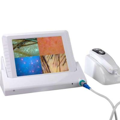 China Multifunctional skin wrinkle analysis LCD screen wifi scalp skin analyzer hair camera with 8 inch for sale