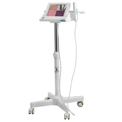 China Hot sale 2020 skin wrinkle analysis wifi skin scalp analyzer machine with 8 inch LCD monitor for beauty salon for sale