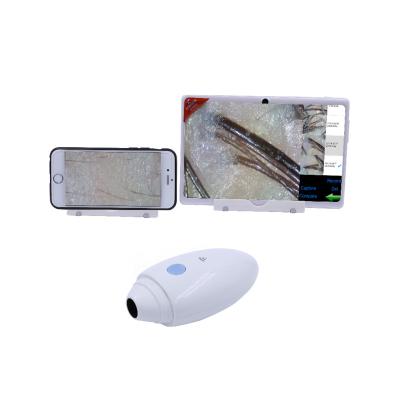 China CF-685A Wireless Skin Wrinkle Detector WiFi Mirror Beauty Equipment 50x Zoom Magic Skin Analyzer Machine for sale