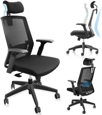 China (Size) High Home Office Ergonomic Back Adjustable Mesh Desk Chair with Silent Seat Height Adjustable Swivel Armrest 3D Lumbar Support Rolling for sale