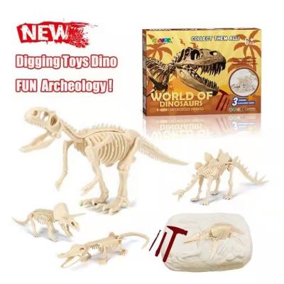 China The Other Fashionable 2022 Dinosaur Toys Kit-Dig Up And Assemble Science A Dino Fossils Dinosaurs Skeleton Fossil Excavation Set for sale