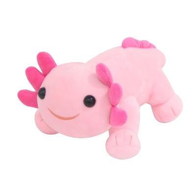 China Cute Plush New Arrival 23cm Salamander Dolls For Kids Super Soft Stuffed Animals Pink Axolotl Toy for sale