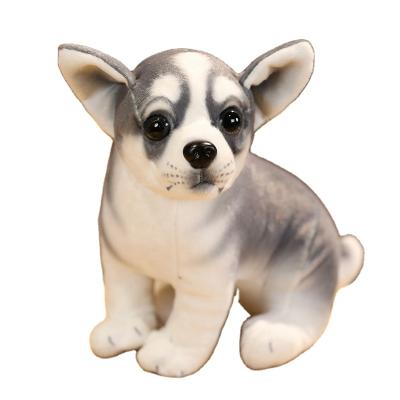 China Wholesale Puppy Pet Dolls Toy Cute Husky Stuffed Animal Plush Simulation Dog Stuffed Animal Dolls For Children for sale