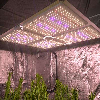 China FLOWER Greenhouse Grow Light Grow Full Spectrum Led 400W 450W IR UV Led Grow Light For Indoor Plant for sale