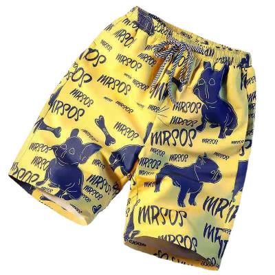 China Hot QUICK DRY cartoon men's swim shorts beach panel shorts with pocket summer fly abbreviations men's swimming trunks quick dry men's swimwear for sale