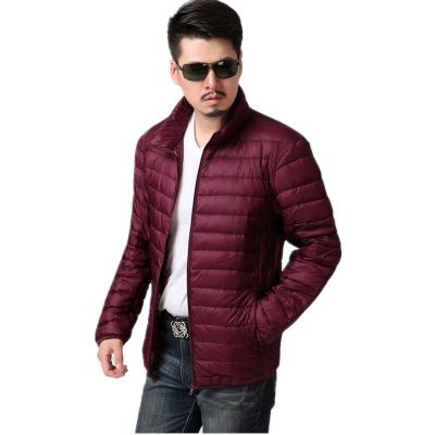 China Custom Ultralight Breathable Wholesale Winter Stand Collar Down Jacket Windproof Stripper Jacket For Men for sale