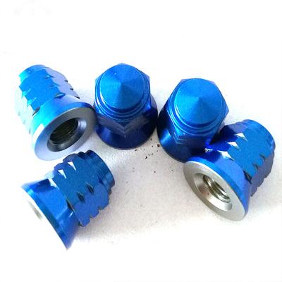 China Heavy industry China m6 m8 flange hexagon shroud nut acorn cap nuts for sale