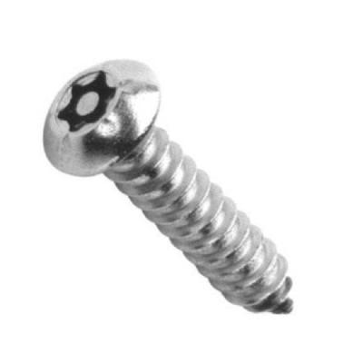 China Pan ChinaFactory Quick Response Manufacturing Stainless Steel Security Torx Screws Bolts M5 Anti Theft Tapping Screw for sale