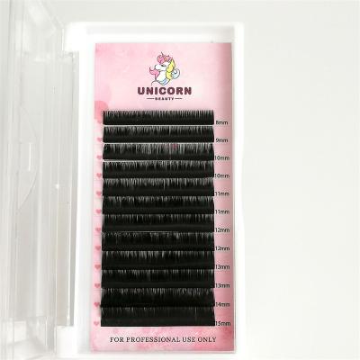 China Professional Full Volume Eyelash Extensions Private Label Volume Lash 0.07mm D Curl 14mm Lash Silk Extension for sale