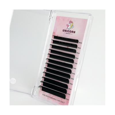 China Korean Super Soft Volume Full Top PBT 0.05mm Soft Lashes Mixed 8-25mm Easy Fanning Premium Lashes For Extensions for sale