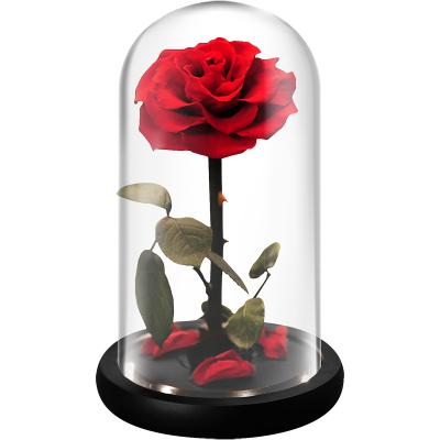 China Agriculture 2021 INUNION hotsell eternal roses flower in glass dome for sale