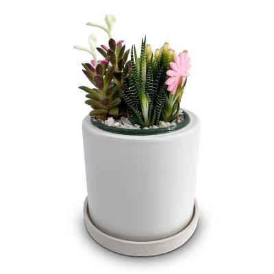 China Stocked Cheap Ceramic Plant Outlet White Flower Pot Set Cylinder Planter For Indoor And Outdoor for sale