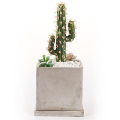 China Pot Fine Cement Flower Shape Square Quality Garden Planter Stocked Succulent Set for sale