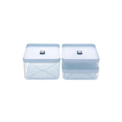 China 3 PCS/Set Viable Antibacterial Vegetable Storage Boxes And Fruit Sealed Jar Custom LOGO Plastic Box for sale