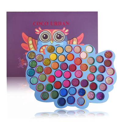 China 55 Color Popular Waterproof Owl Eye Shadow European And Large Flat Pearl Matte Eye Shadow Earth Color Makeup for sale